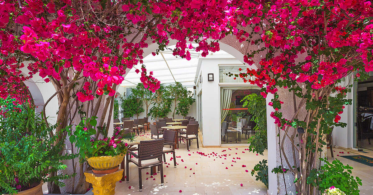 Een foto van Hotel Kyparissia Beach