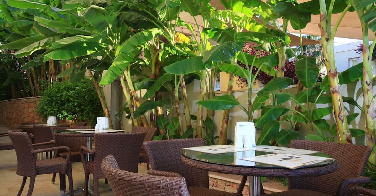 Een foto van Mandarin Resort