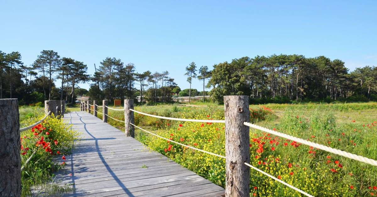 Een foto van Lino delle Fate Eco Village Resort