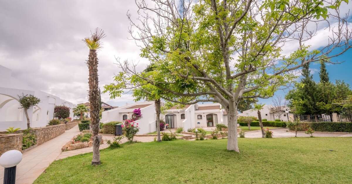 Een foto van The Olive Tree Hotel