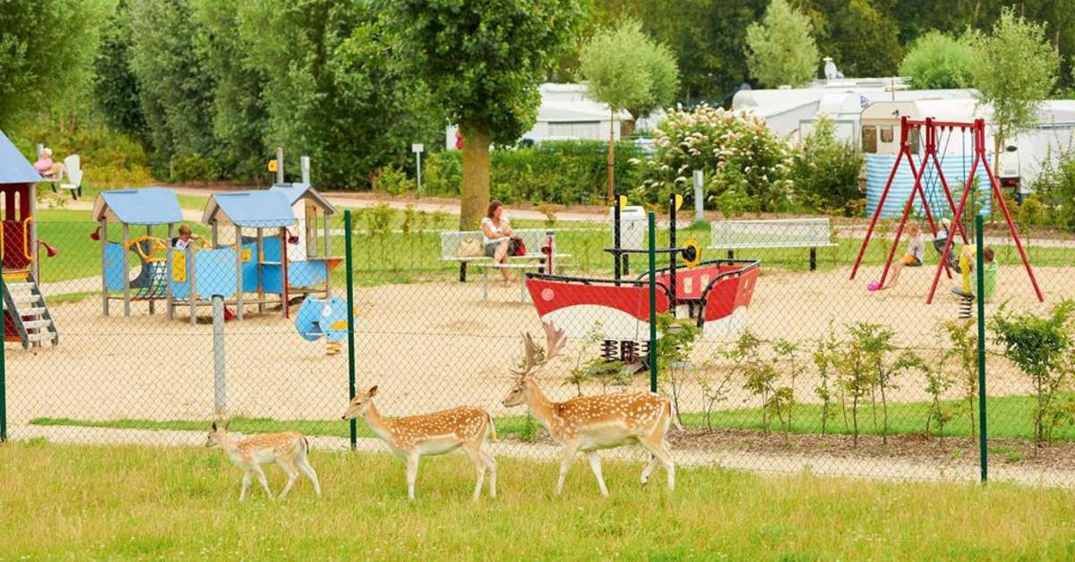 Een foto van de faciliteiten bij Bestcamp Camping Nieuwpoort