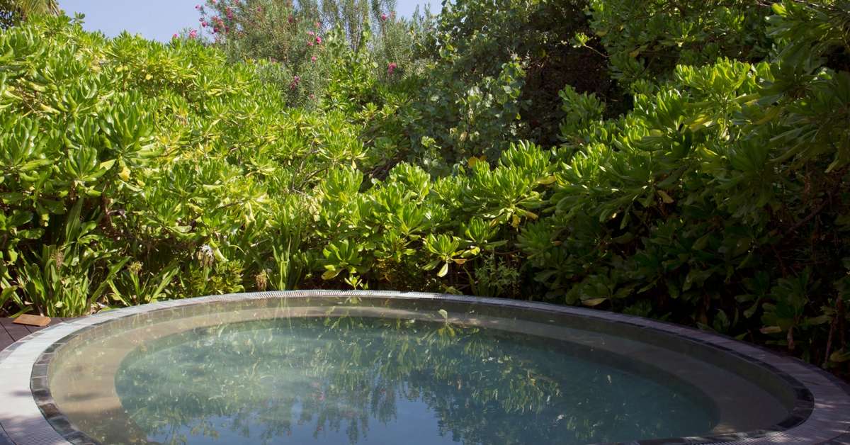 Een foto van het zwembad bij Coco Palm Dhuni Kolhu