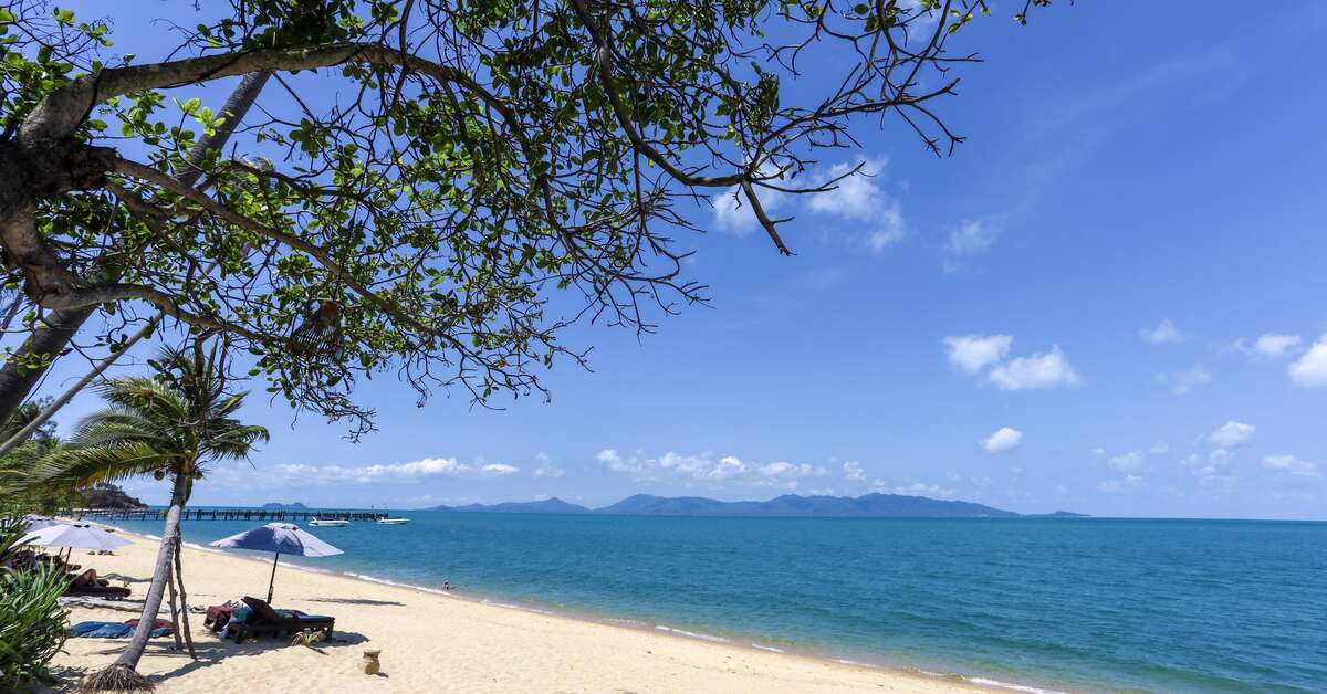 Een foto van Saree Samui