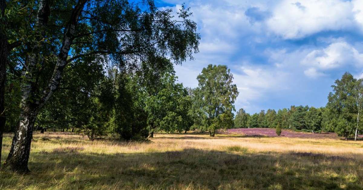 Een foto van Eurostrand Lüneburger Heide