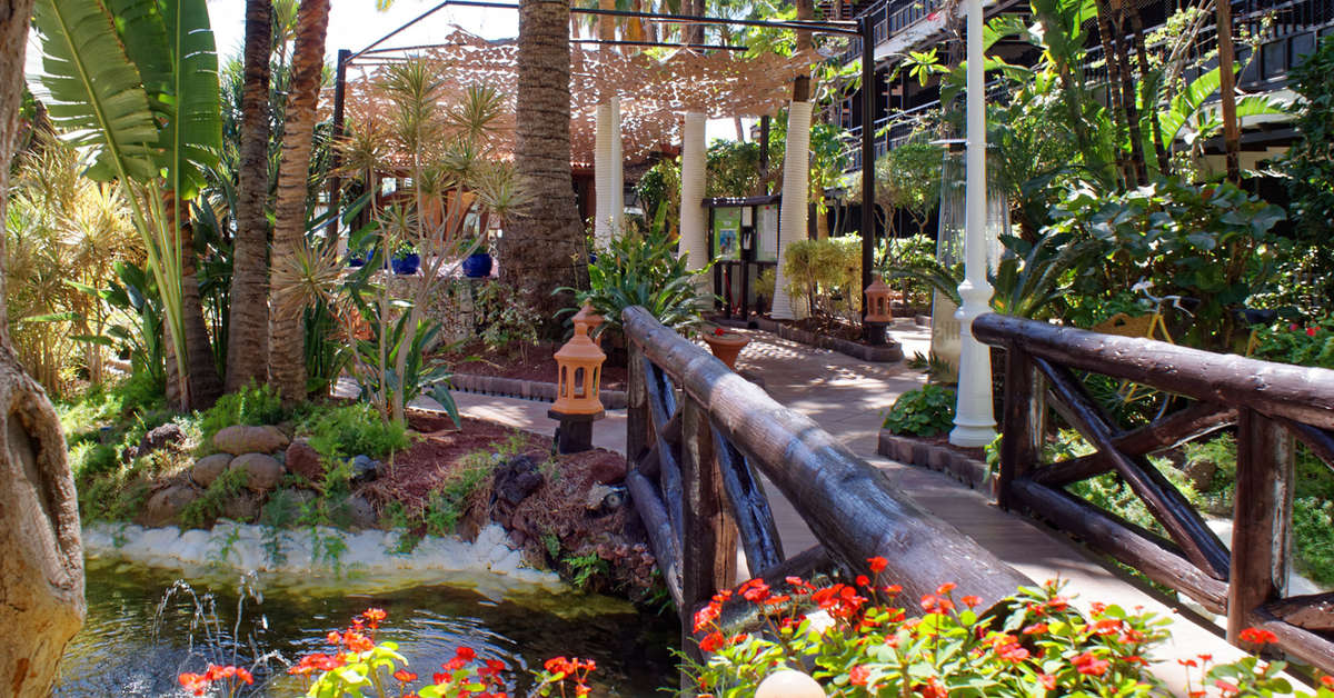 Ein Foto von der Terrasse im Hotel Parque Tropical