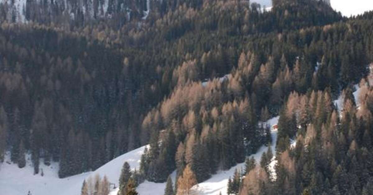 Een foto van Hotel Serena Selva