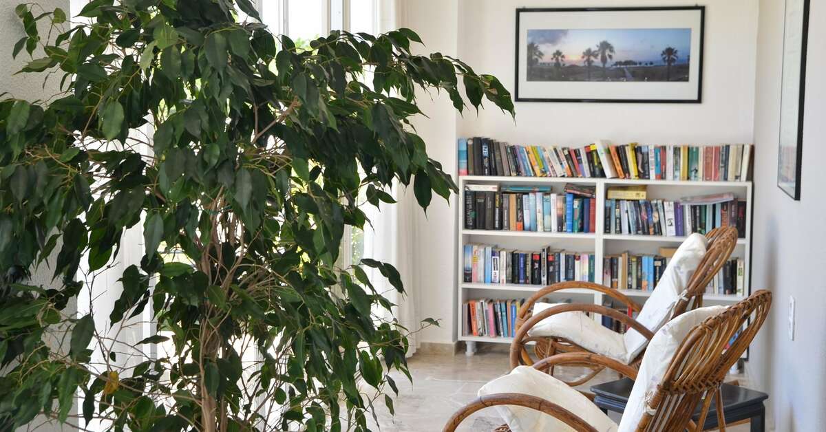 Een foto van het interieur van Costa Angela Seaside Resort