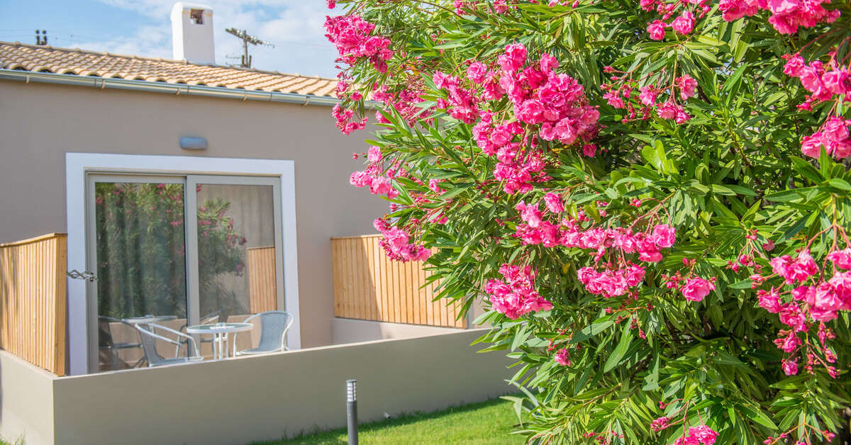 Een foto van de buitenkant van Amour Holiday Resort