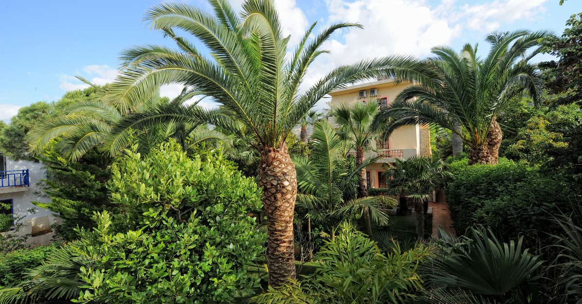 Een foto van de buitenkant van Villa Sonia Hotel