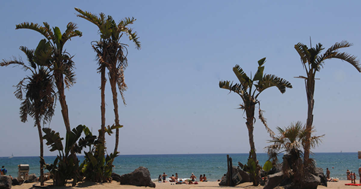 Een foto van Villaggio Turistico Internazionale La Playa