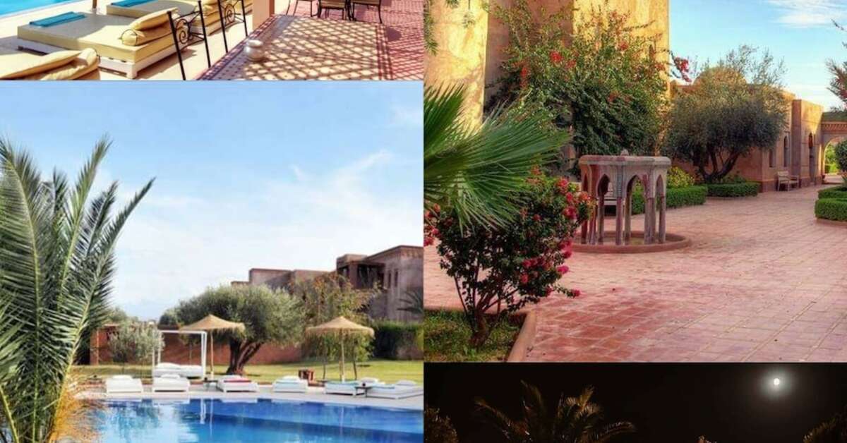 Een foto van La Maison Des Oliviers
