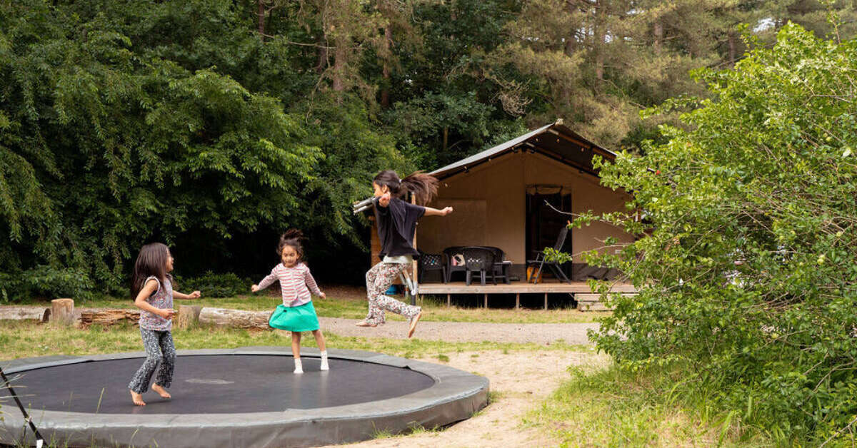 Een foto van Camping Siesta