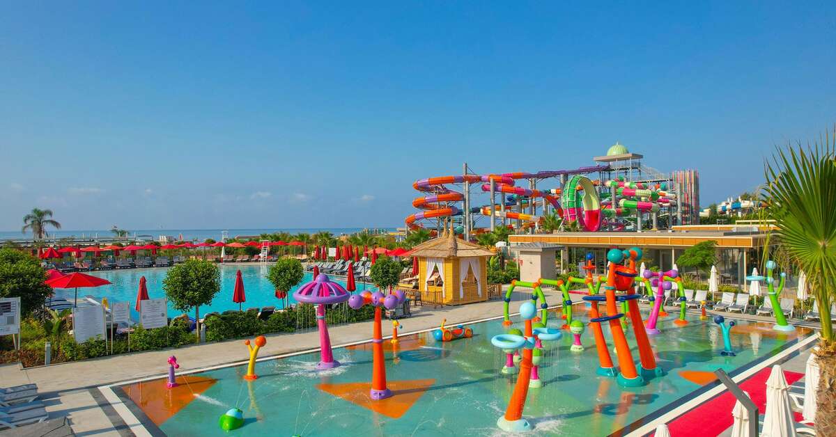 Ein Foto Delphin Imperial