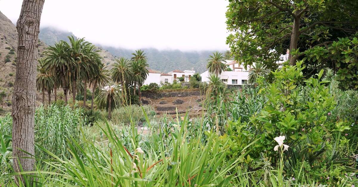 Een foto van Casa Finca Pinero