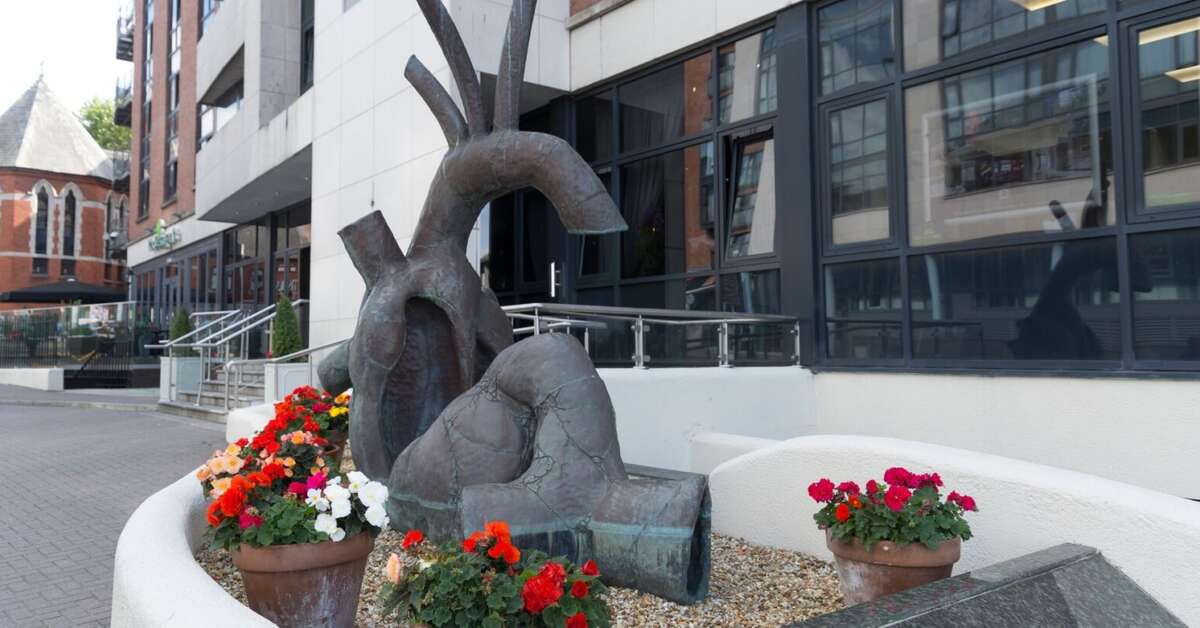 Een foto van Limerick City Hotel