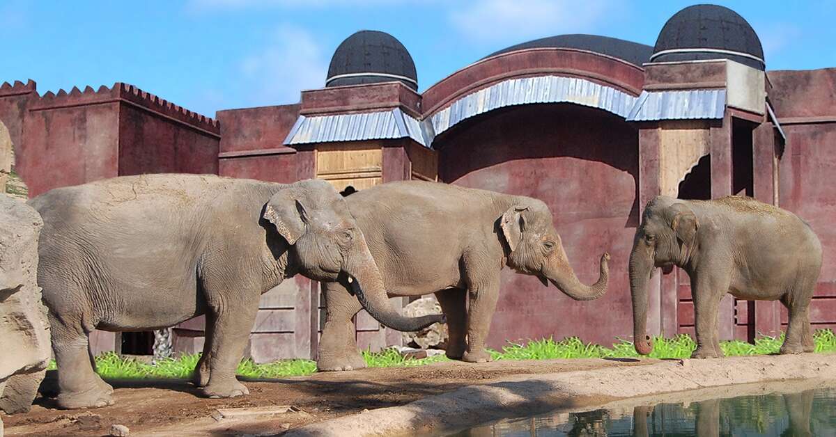 Een foto van de buitenkant van Magic Natura Waterpark Resort