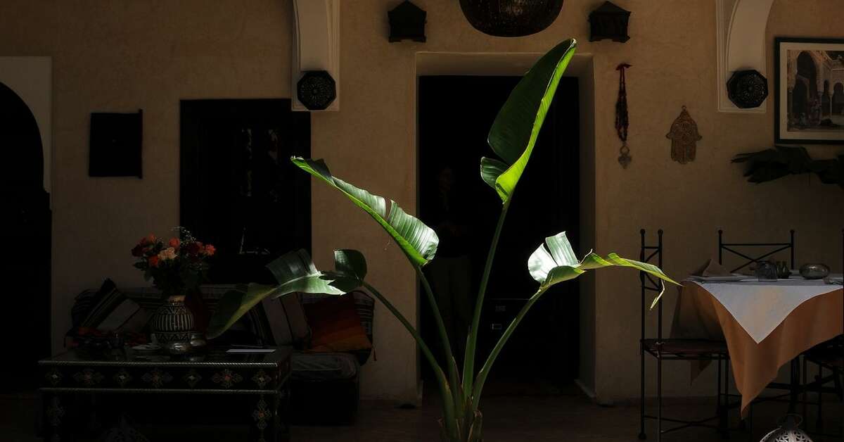 Ein Foto Riad Haraka