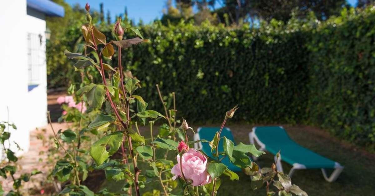 Een foto van Cortijo Fontanilla