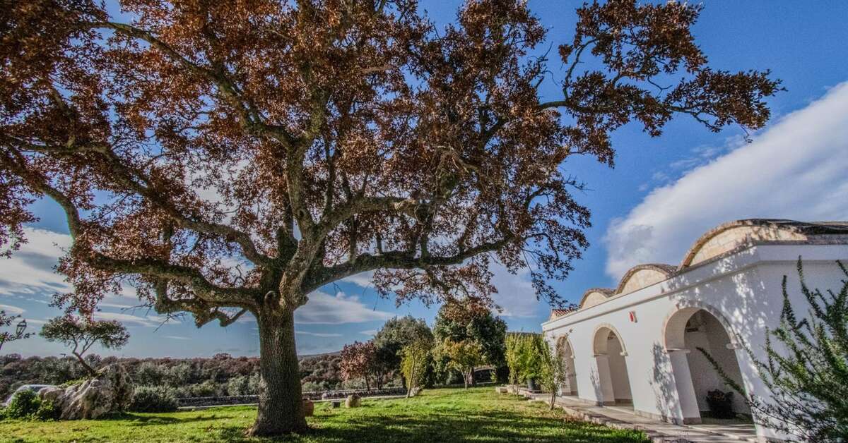 Een foto van Masseria Parco delle Querce