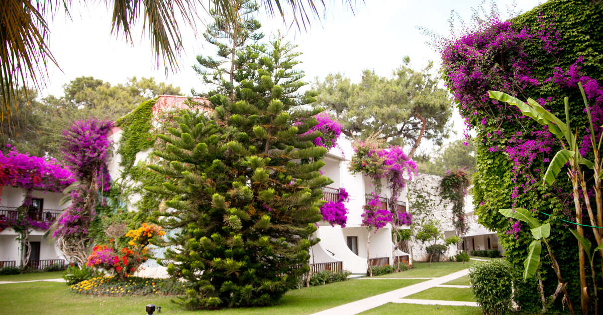 Een foto van Club Boran Mare Beach