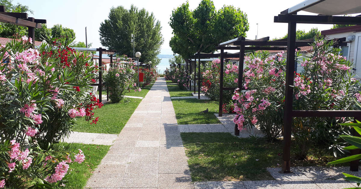 Een foto van Camping Village San Benedetto