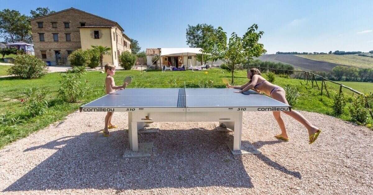 Een foto van Tenuta Tredici Ulivi