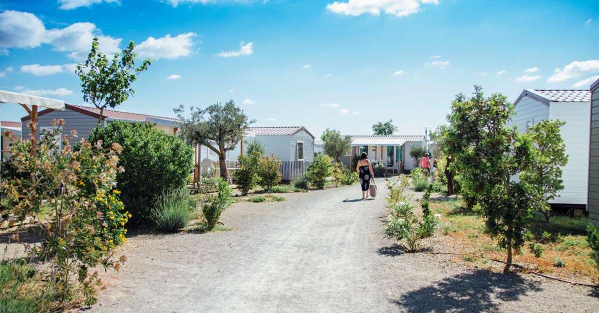 Een foto van Camping Mas des Lavandes