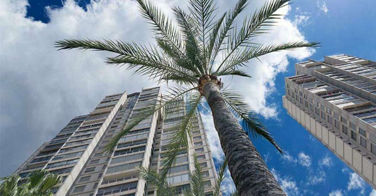 Een foto van Appartementen Gemelos 20