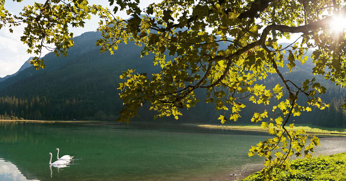 Een foto van Familienurlaub Hoch 2