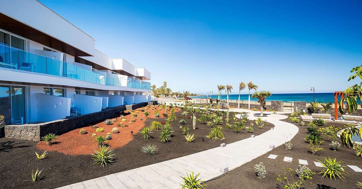 Een foto van het terras bij Lava Beach