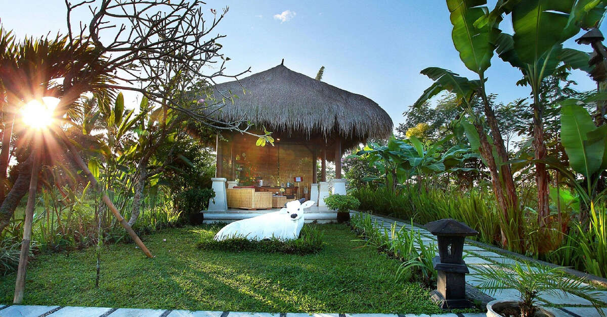 Een foto van Nandini Jungle Resort & Spa