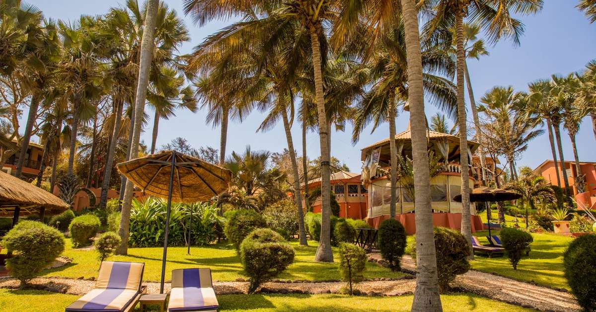 Een foto van het terras bij Ngala Lodge