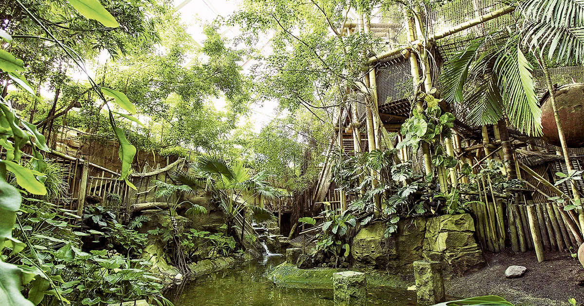 Een foto van Center Parcs Het Heijderbos