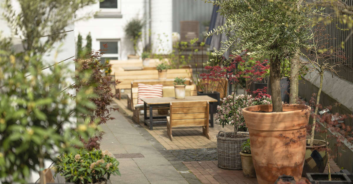 Een foto van Hotel Mayfair