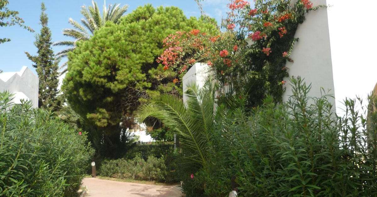 Een foto van Delfino Beach Resort & Spa