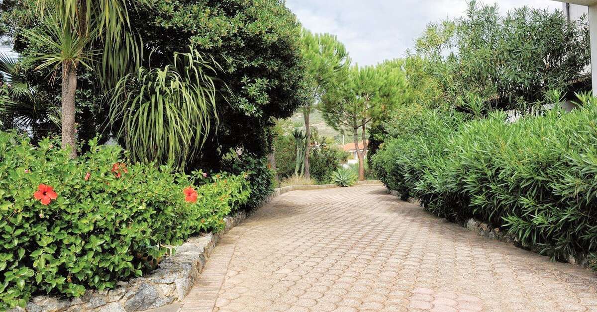 Ein Foto Pineta Petto Bianco