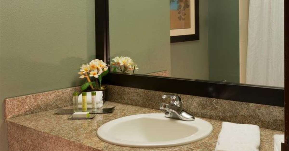 Een foto van DoubleTree by Hilton Orlando at Seaworld