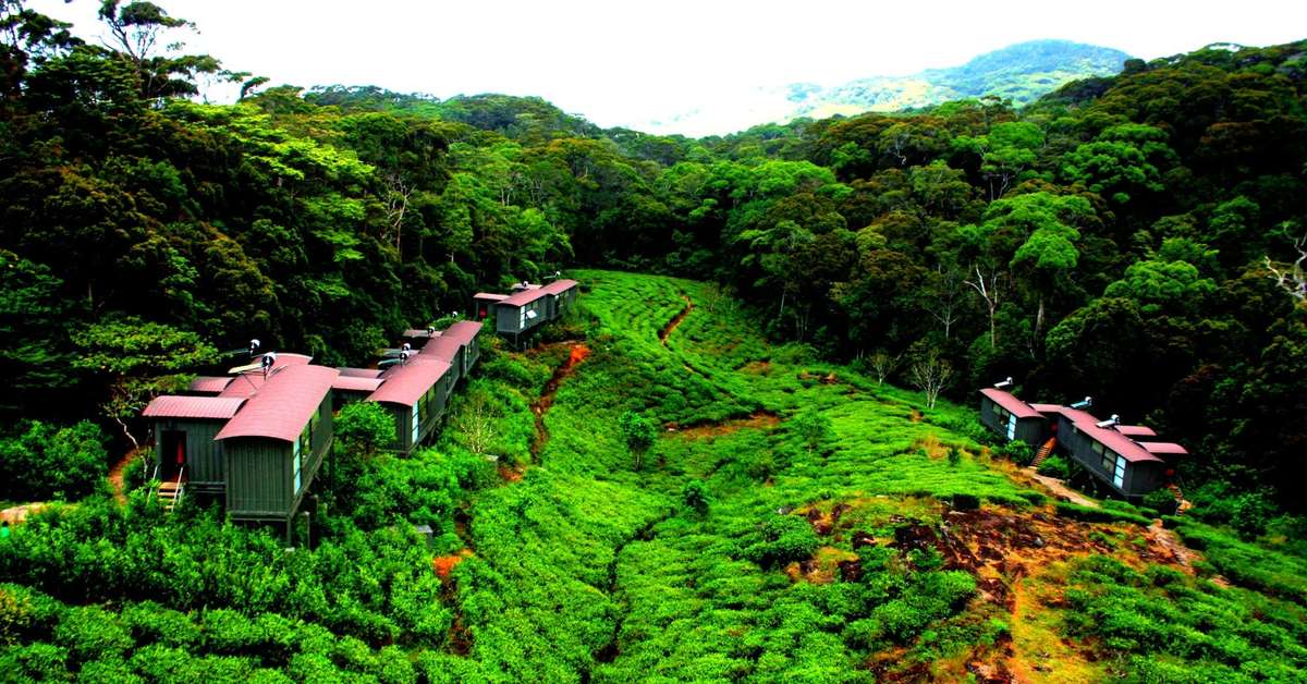 Een foto van Rainforest Eco Lodge