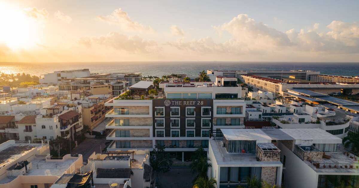Een foto van The Reef 28