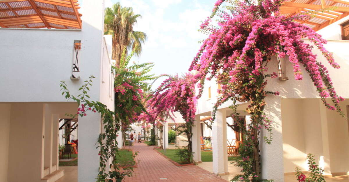 Ein Foto von der Außenansicht des Club Kastalia Holiday Village