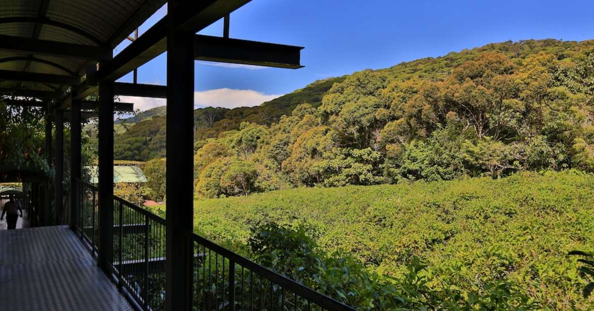 Een foto van Rainforest Eco Lodge