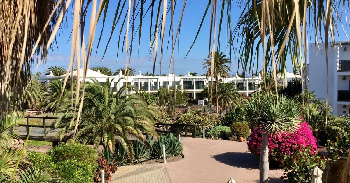 Een foto van het terras bij Las Marismas de Corralejo
