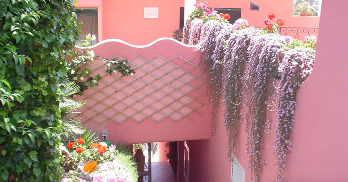 Een foto van Casa Rosa Terme Hotel