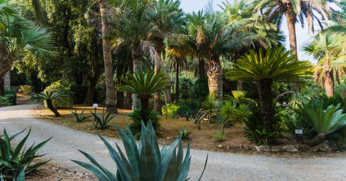 Een foto van Camping Rosselba Le Palme