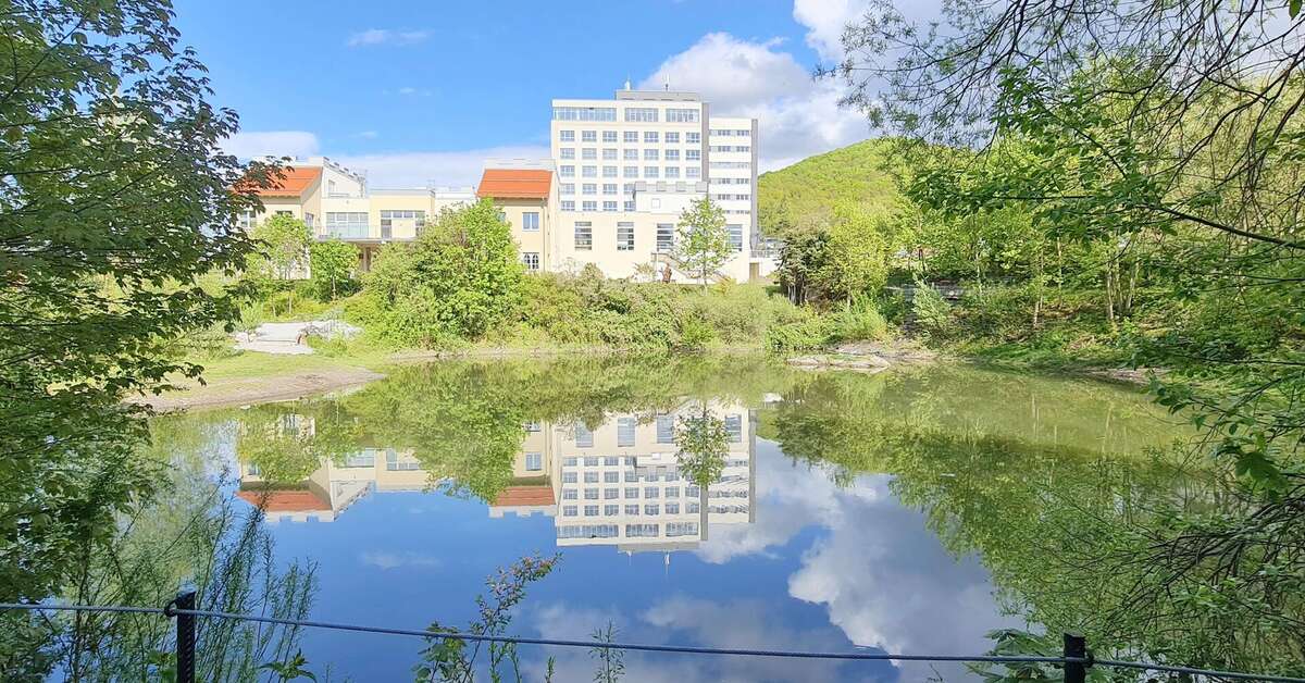 Een foto van Hasseröder Burghotel