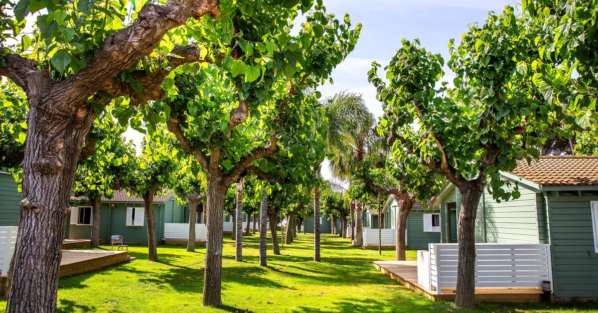 Een foto van Camping La Llosa