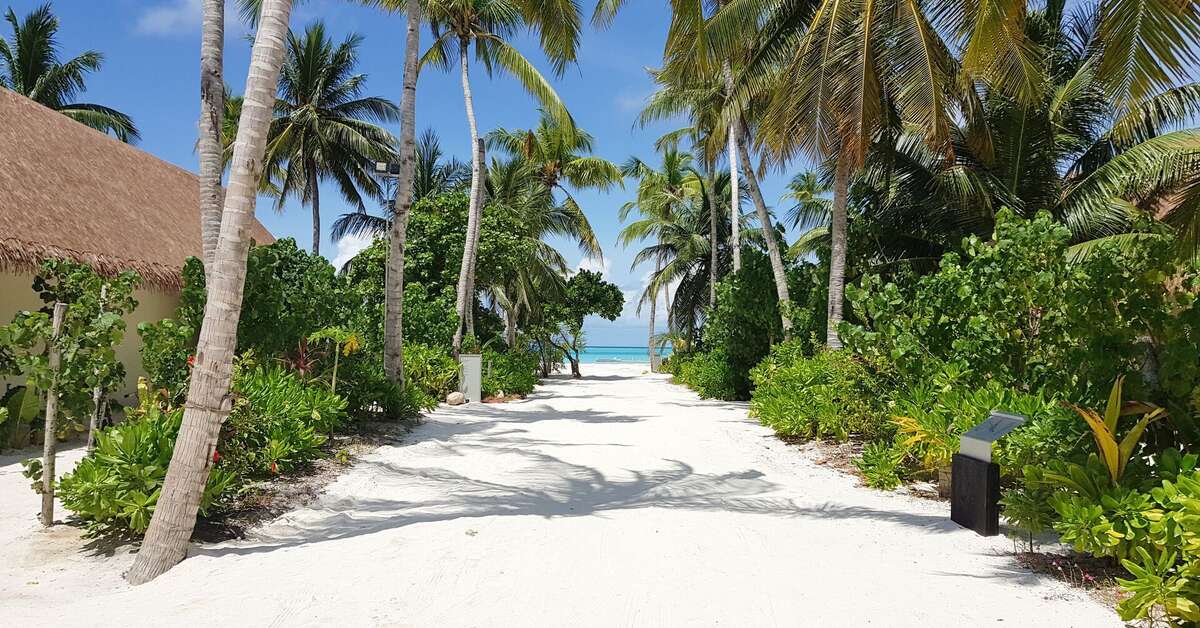 Een foto van Cinnamon Velifushi Maldives