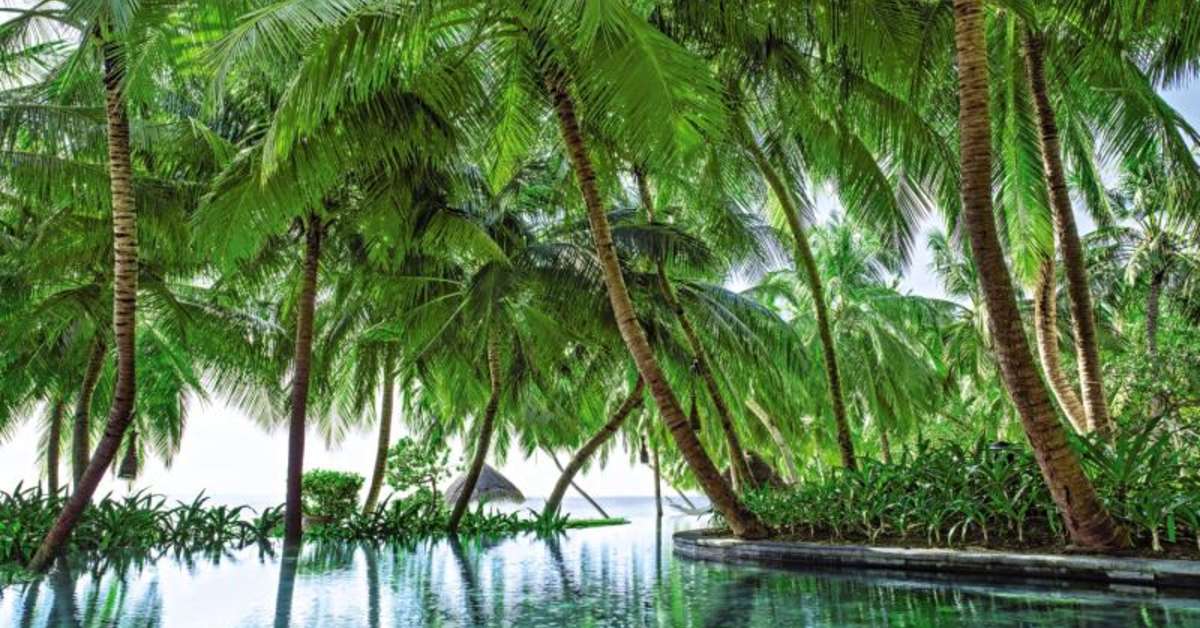Een foto van One & Only Reethi Rah