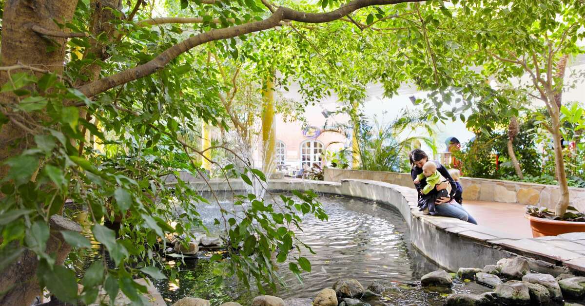 Een foto van het zwembad bij Center Parcs Port Zelande