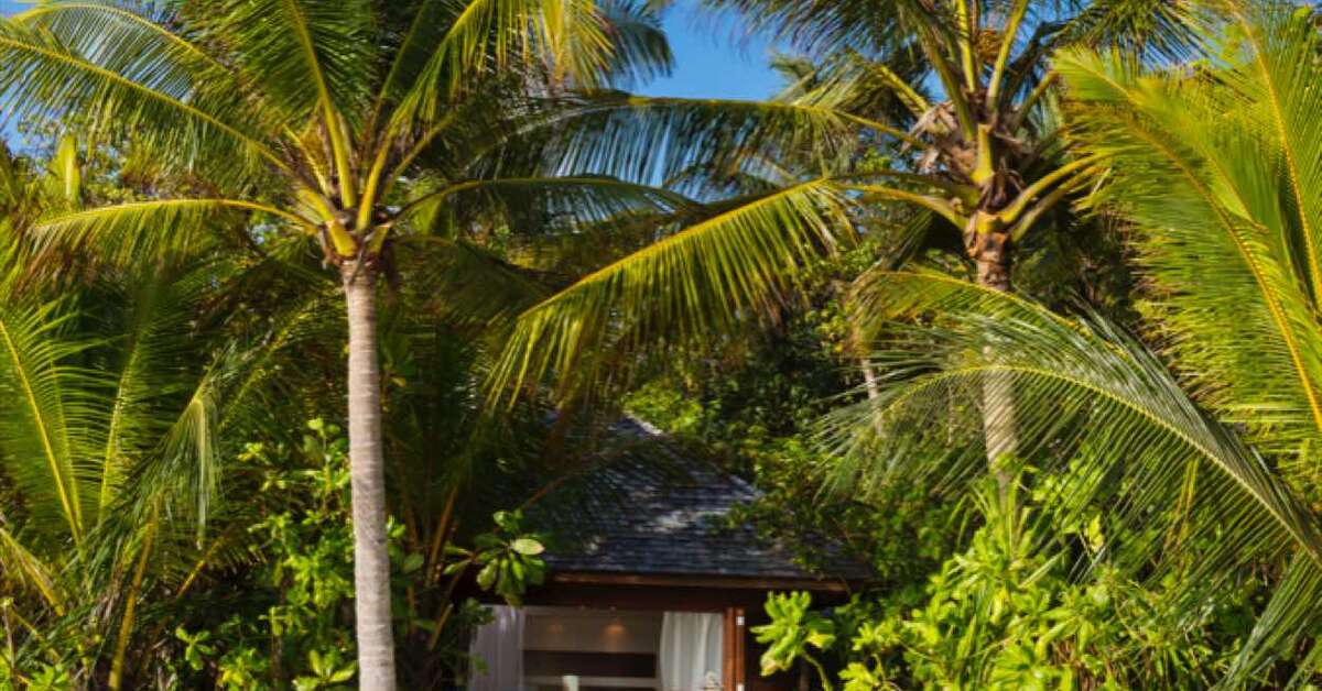 Een foto van Veligandu Maldives Resort Island